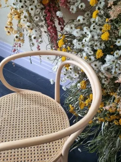 Thonet 209 Armstol, sort fra><noscript><img width=