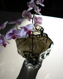 Hein Studio Ammonit Vase, clear fra><noscript><img width=