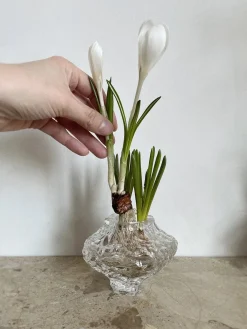 Hein Studio Canyon Vase Mini, clear fra> Gaver Til Hende|Vaser