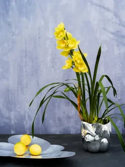 Tom Dixon Cloud Vessel fra><noscript><img width=