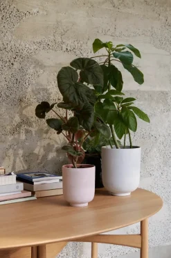 &Tradition Collect Planter SC71 fra><noscript><img width=