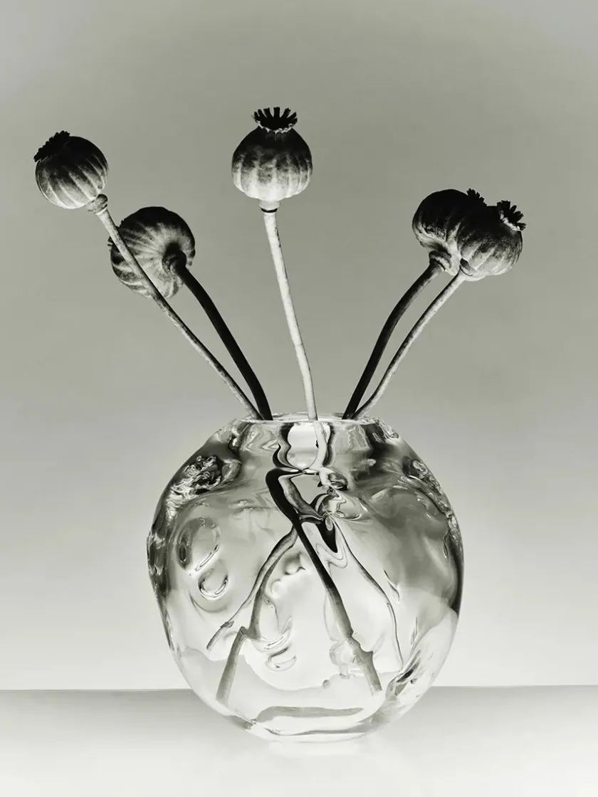 Louise Roe S.R. Vintage Vase Deco Clear fra> Vaser