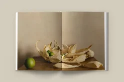 New Mags The Design Hotels Book – Taste and Place fra><noscript><img width=